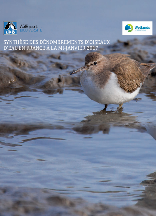 Synthèse des dénombrements d’oiseaux d’eau en France (données mi-janvier 2017)