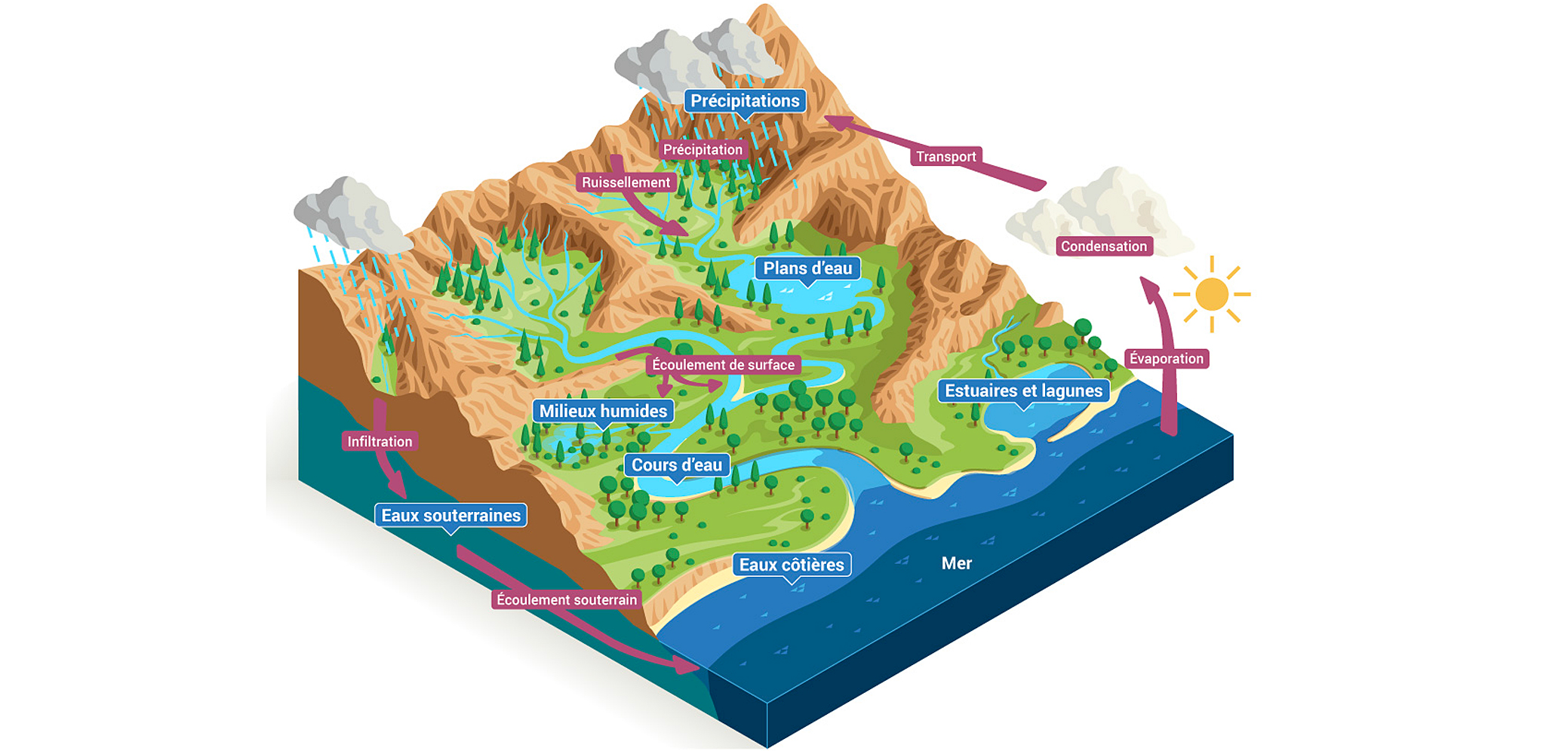 infographie cycle de l'eau
