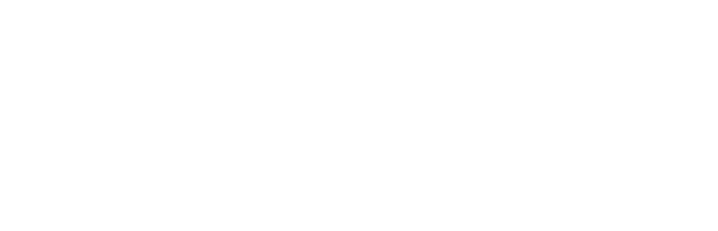 l'oeil de l'expert