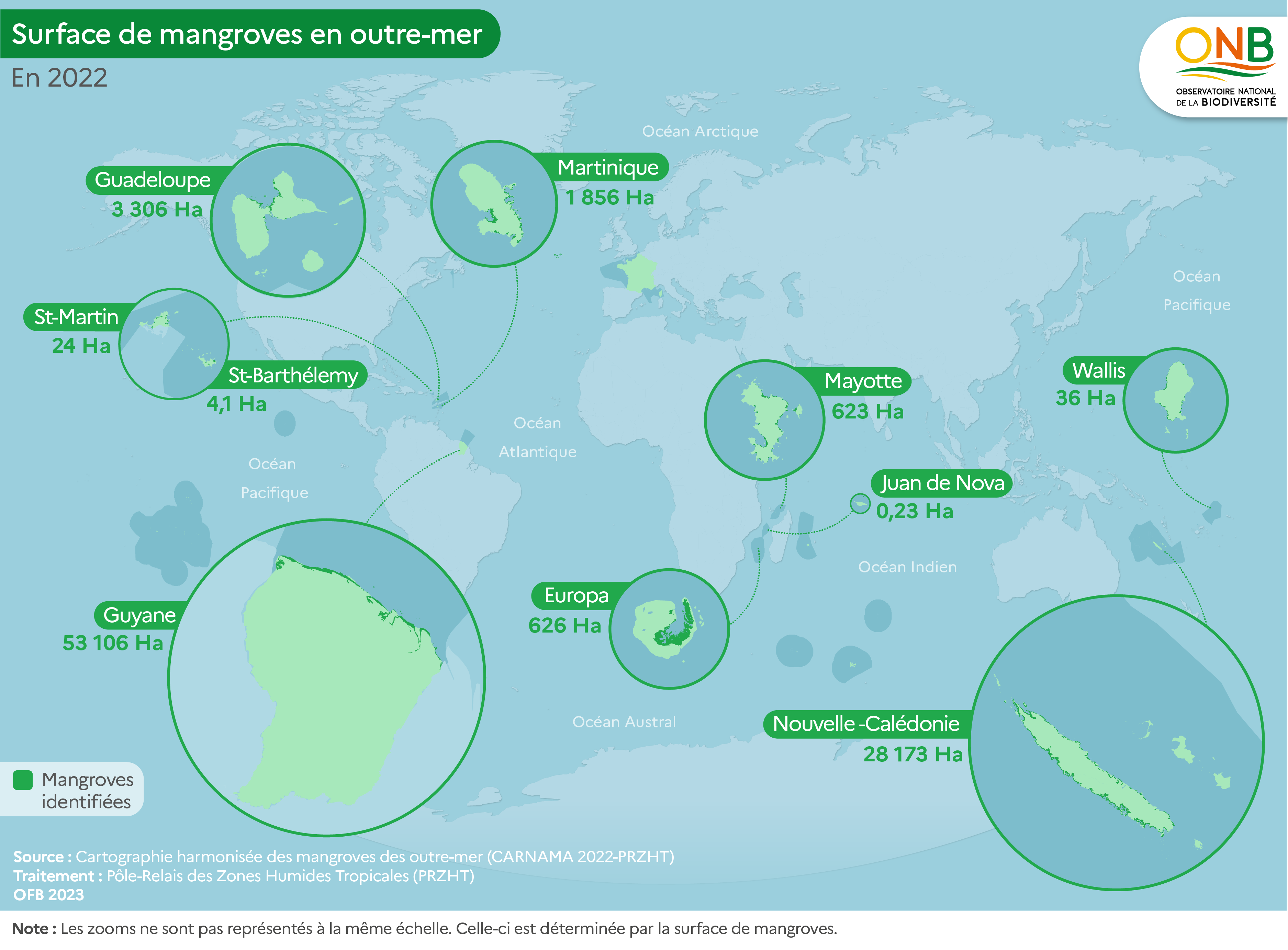 Cartes de la surface de mangrove en outre-mer