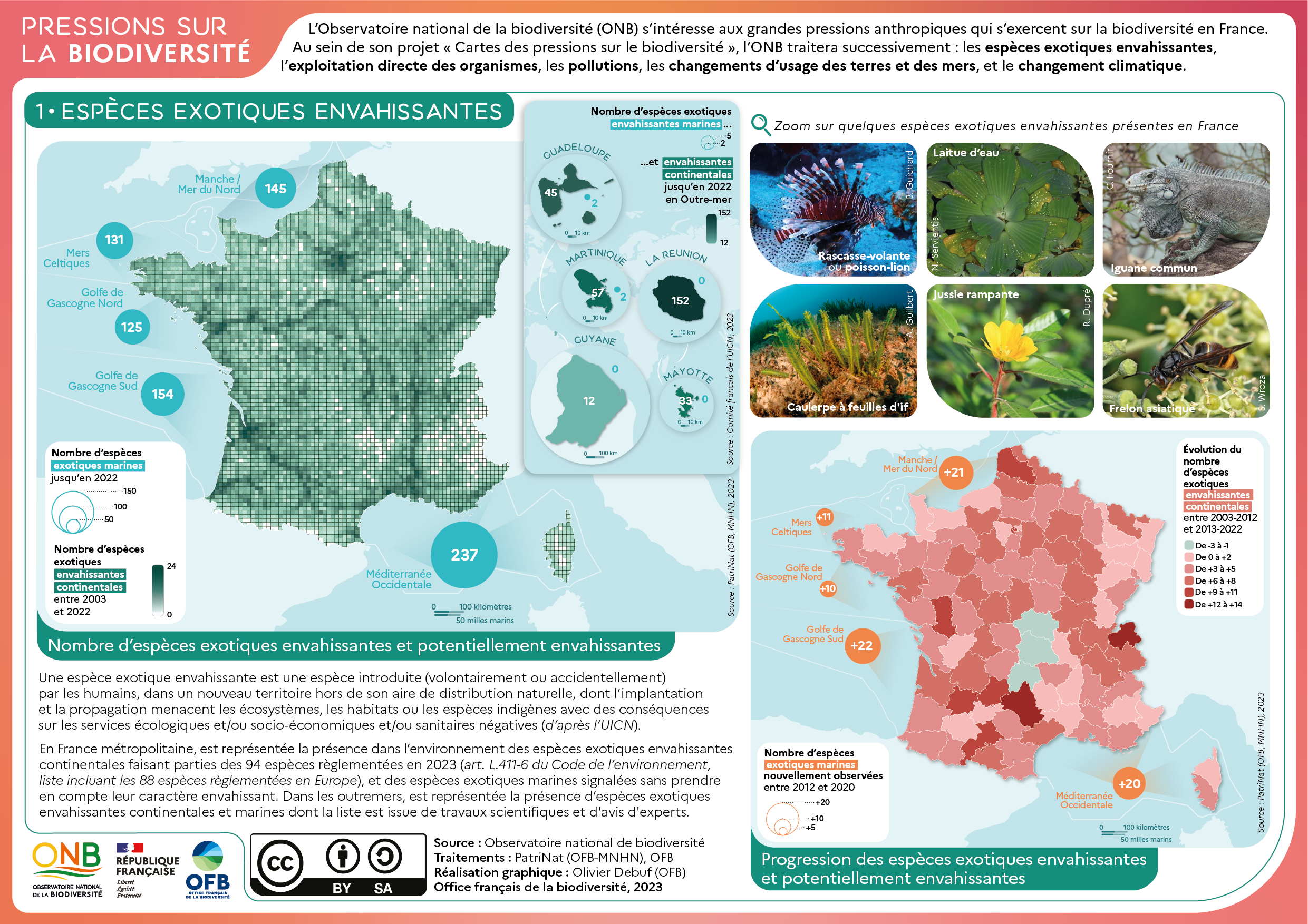 Espèces exotiques envahissantes