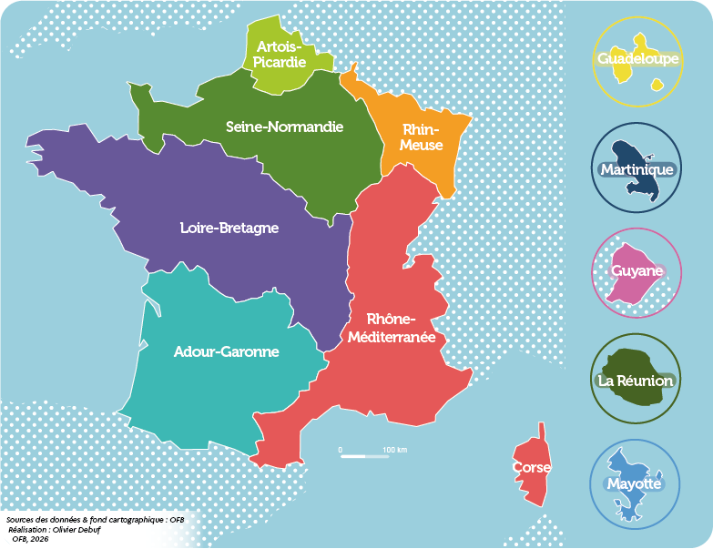 Carte des bassins
