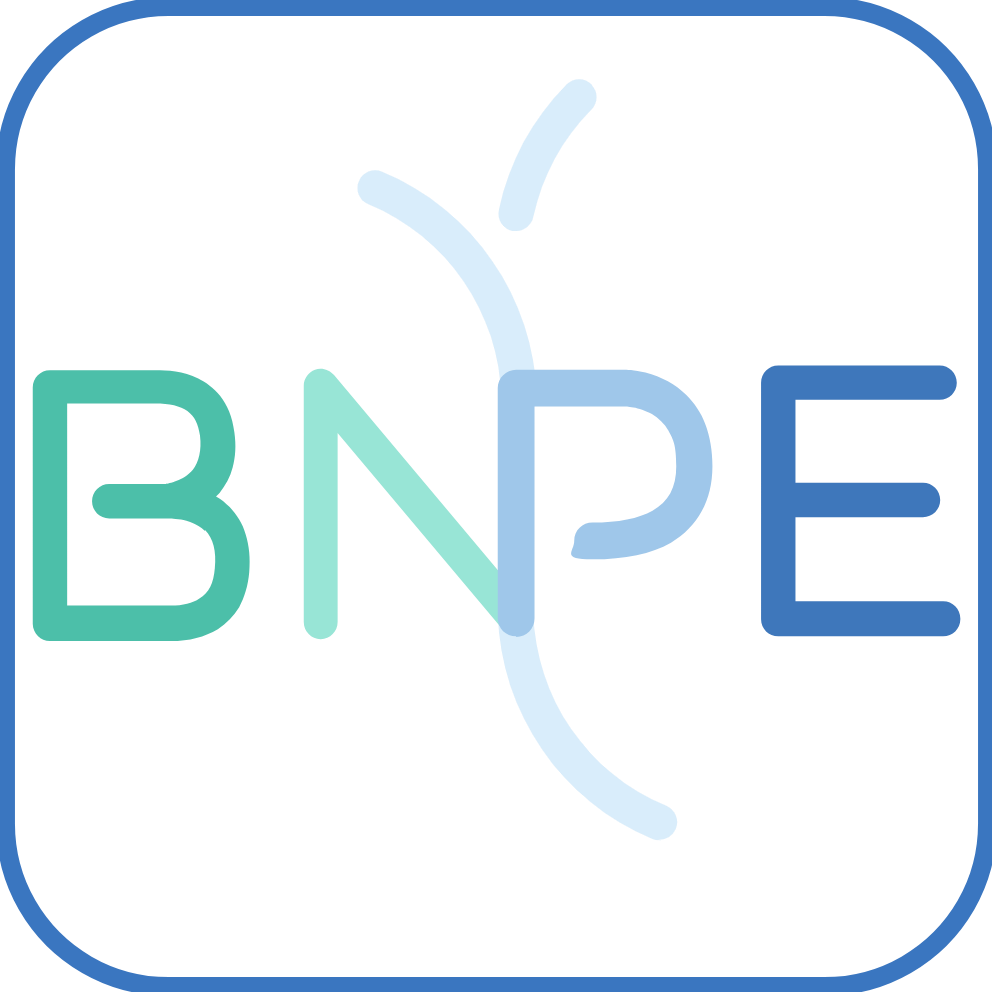 bnpe logo