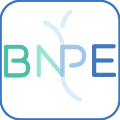bnpe logo