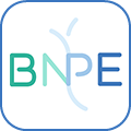 bnpe logo