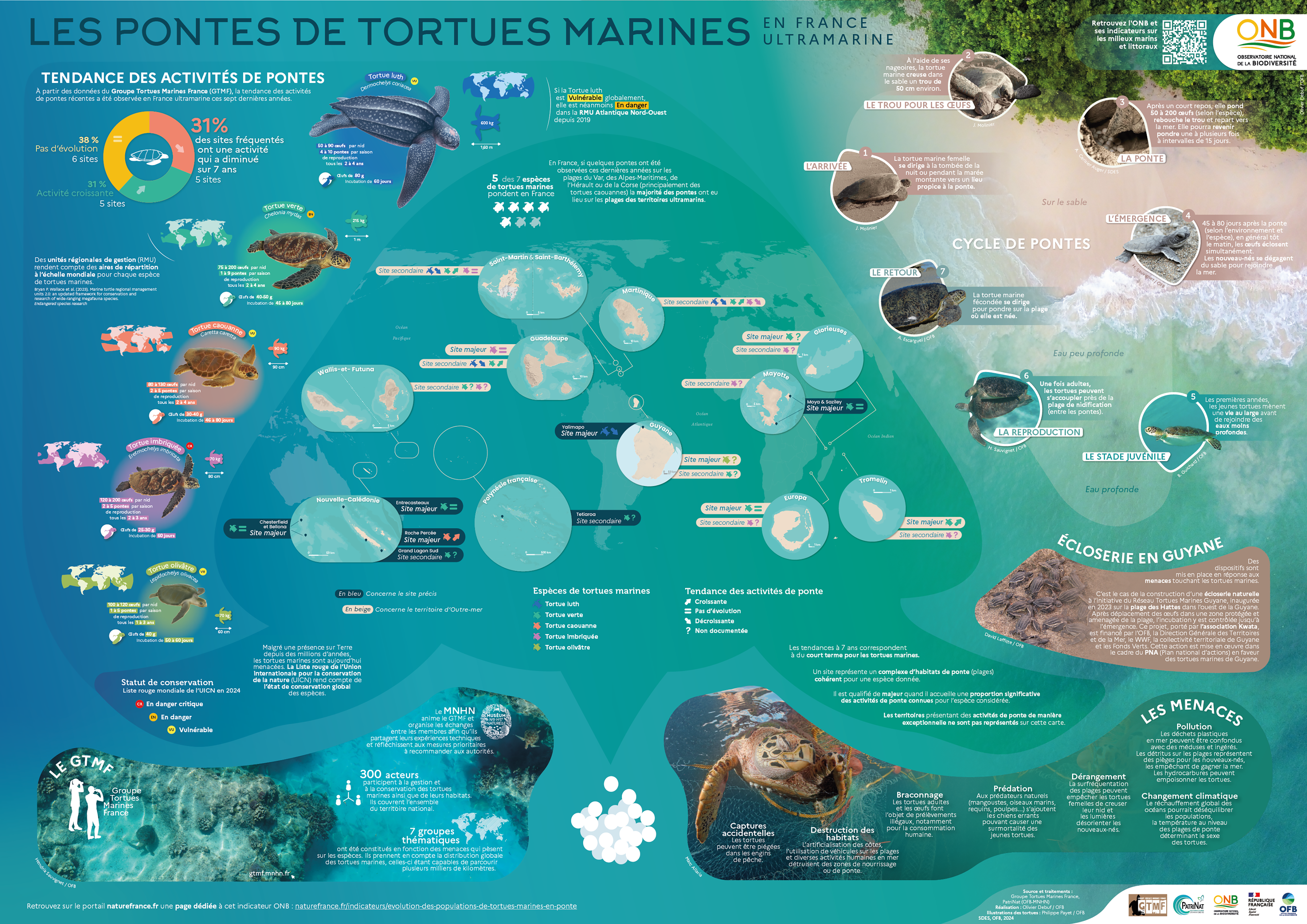 Poster Les pontes de tortues marines en France ultramarine