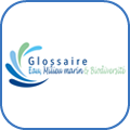 logo_glossaire_oieau_2026.png