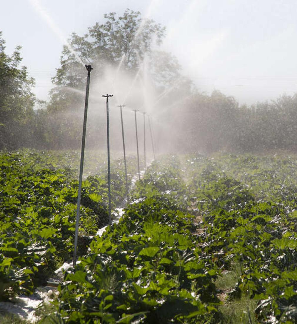 Irrigation