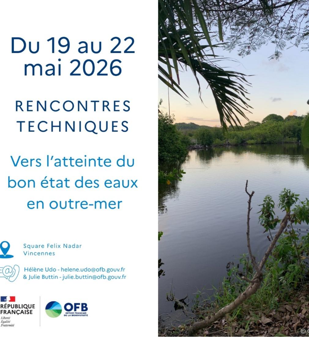 Rencontres techniques Vers l'atteinte du bon état des eaux en outre-mer