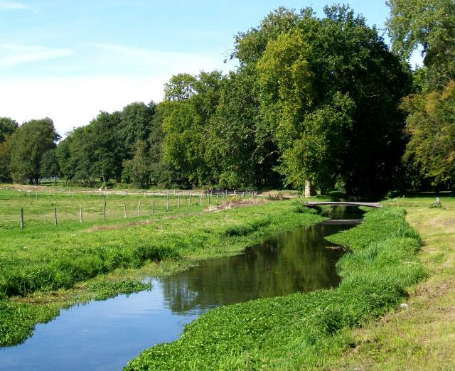 Rivière La Nonnette, Oise 
