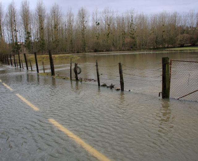 Route inondée, Vienne