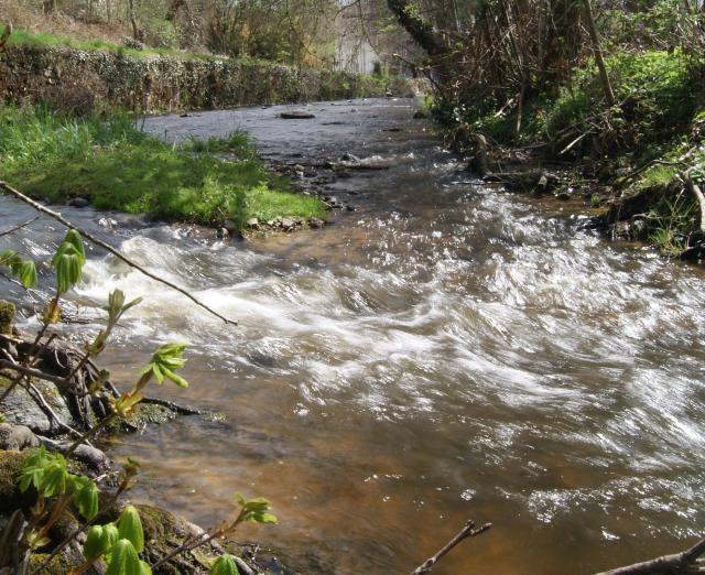 Écoulement de la rivière Brézentine OIEau