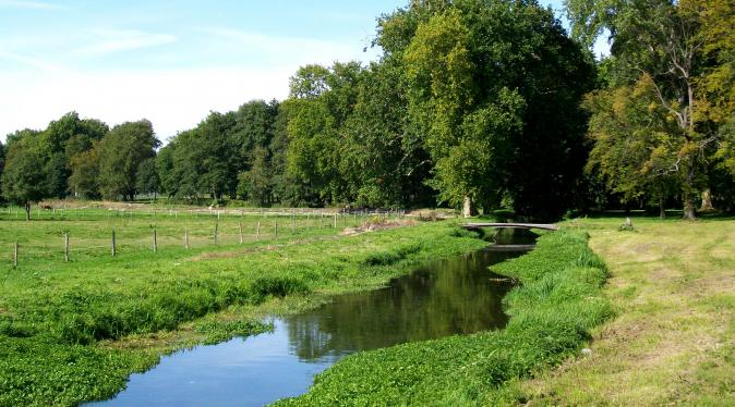 Rivière La Nonnette, Oise 