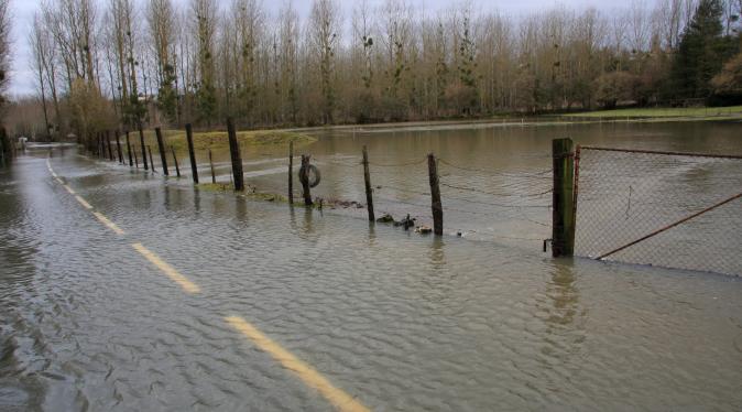 Route inondée, Vienne