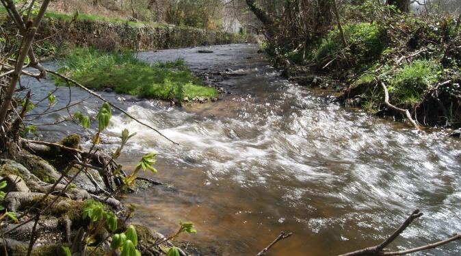 Écoulement de la rivière Brézentine OIEau