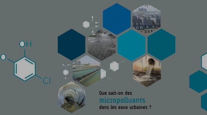 Que sait-on des micropolluants dans les eaux urbaines, Arceau / AFB