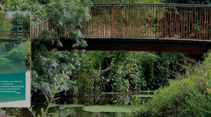 Guide Gemapi et paysage : le végétal au service de la gestion des milieux aquatiques