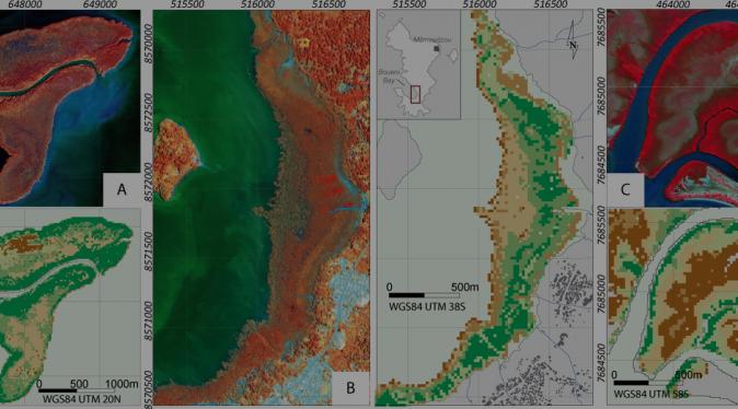 Cartographie de mangroves