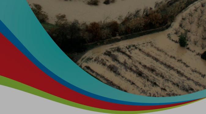 Diagnostic des programmes d’actions de prévention des inondations (PAPI) à l'échelle du territoire Arc méditerranéen