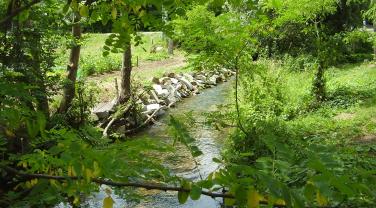 Berges aménagées d'un cours d'eau Berges aménagées d'un cours d'eau