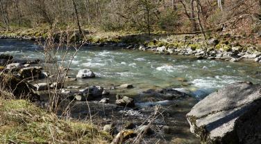 Étiage d'automne du Borne, Savoie Étiage d'automne du Borne, Savoie