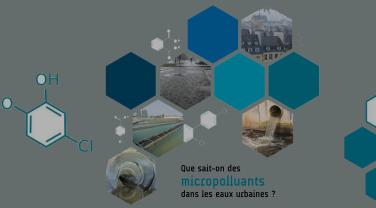 Que sait-on des micropolluants dans les eaux urbaines, Arceau / AFB