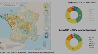 44,2% des eaux surface en bon état écologique