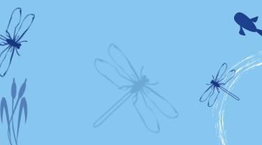 Baromètre de l'opinion 2018