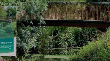 Guide Gemapi et paysage : le végétal au service de la gestion des milieux aquatiques