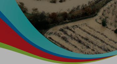 Diagnostic des programmes d’actions de prévention des inondations (PAPI) à l'échelle du territoire Arc méditerranéen