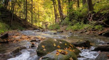 indicateur aquatique biodiversite