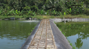 Visite d'une station d'épuration © Paul Giannasi – OFB Visite d'une station d'épuration