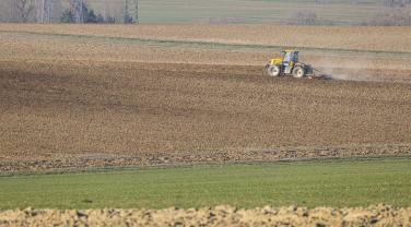 Préparation du sol avant semis