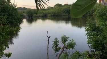Gosier vu du parking du casino - copyright Hélène Udo (OFB)