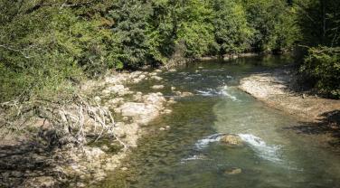 Zone amont qui reprend vie après dérasement du barrage des Pipes