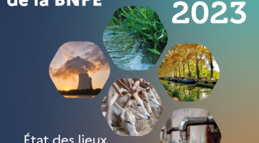 Vignette Infographie BNPE 2023
