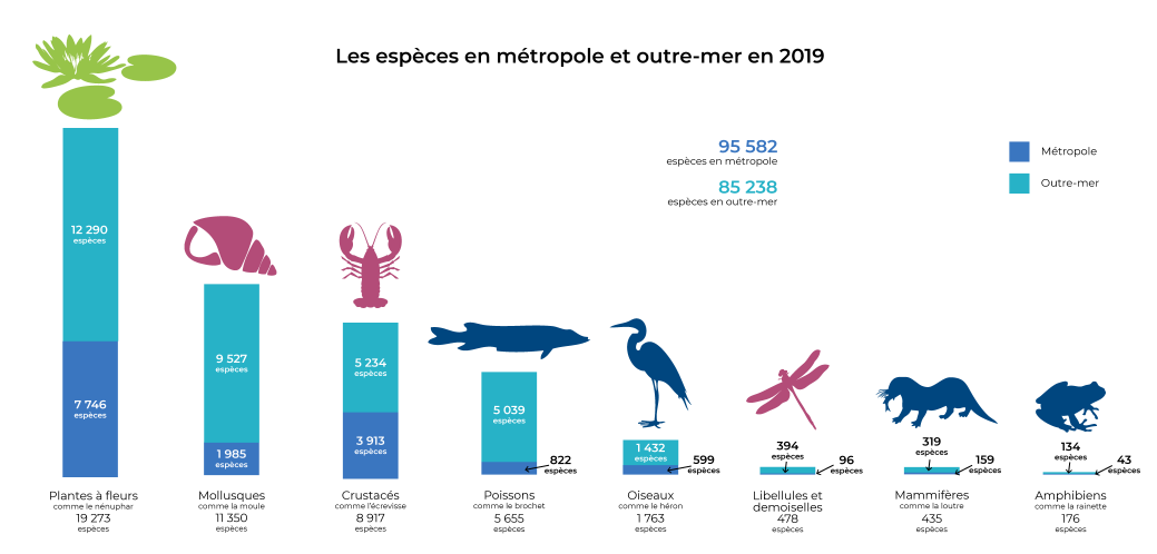 La biodiversité des milieux aquatiques | Eaufrance