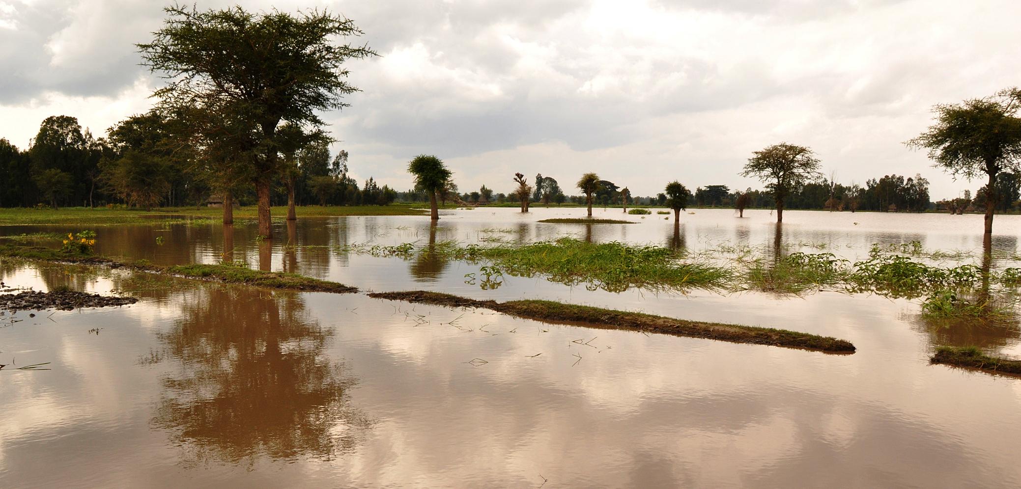 Inondation par débordement de cours d'eau Inondation par débordement de cours d'eau