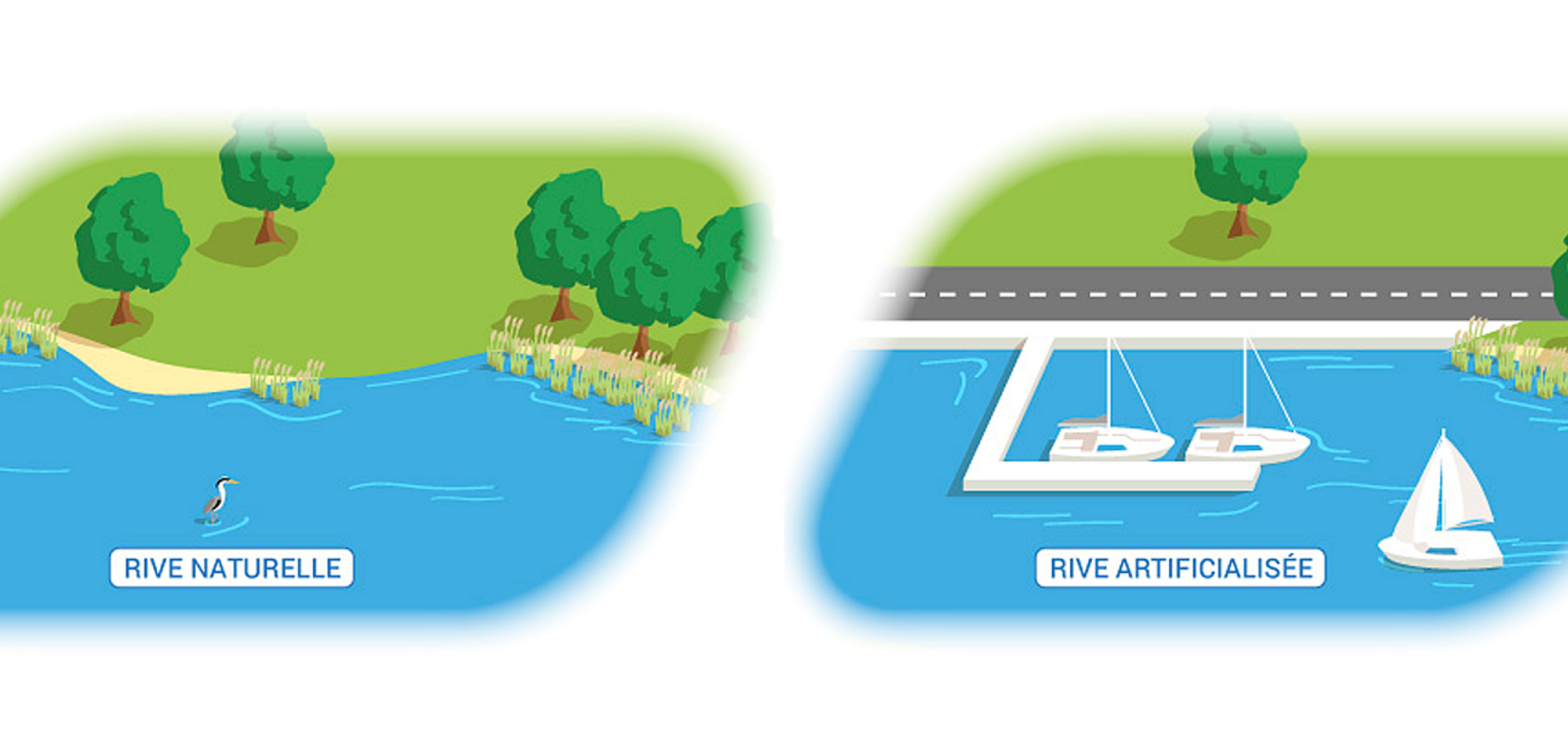 Un exemple d’artificialisation : création d’un port sur la rive d’un lac Un exemple d’artificialisation : création d’un port sur la rive d’un lac