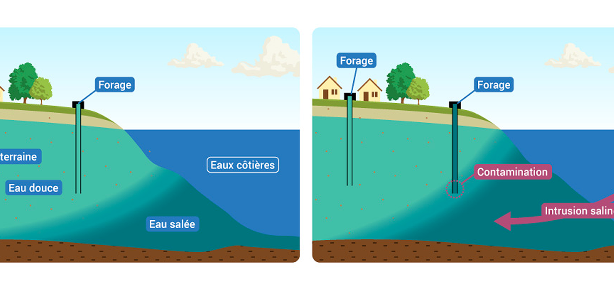 Des intrusions salines sur le littoral Des intrusions salines sur le littoral