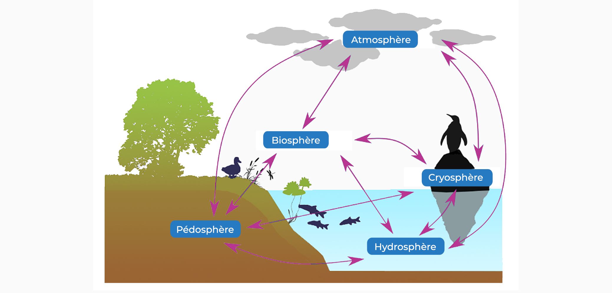 Les compartiments terrestres : atmosphère, pédosphère, hydrosphère, cryosphère et biosphère Les compartiments terrestres : atmosphère, pédosphère, hydrosphère, cryosphère et biosphère