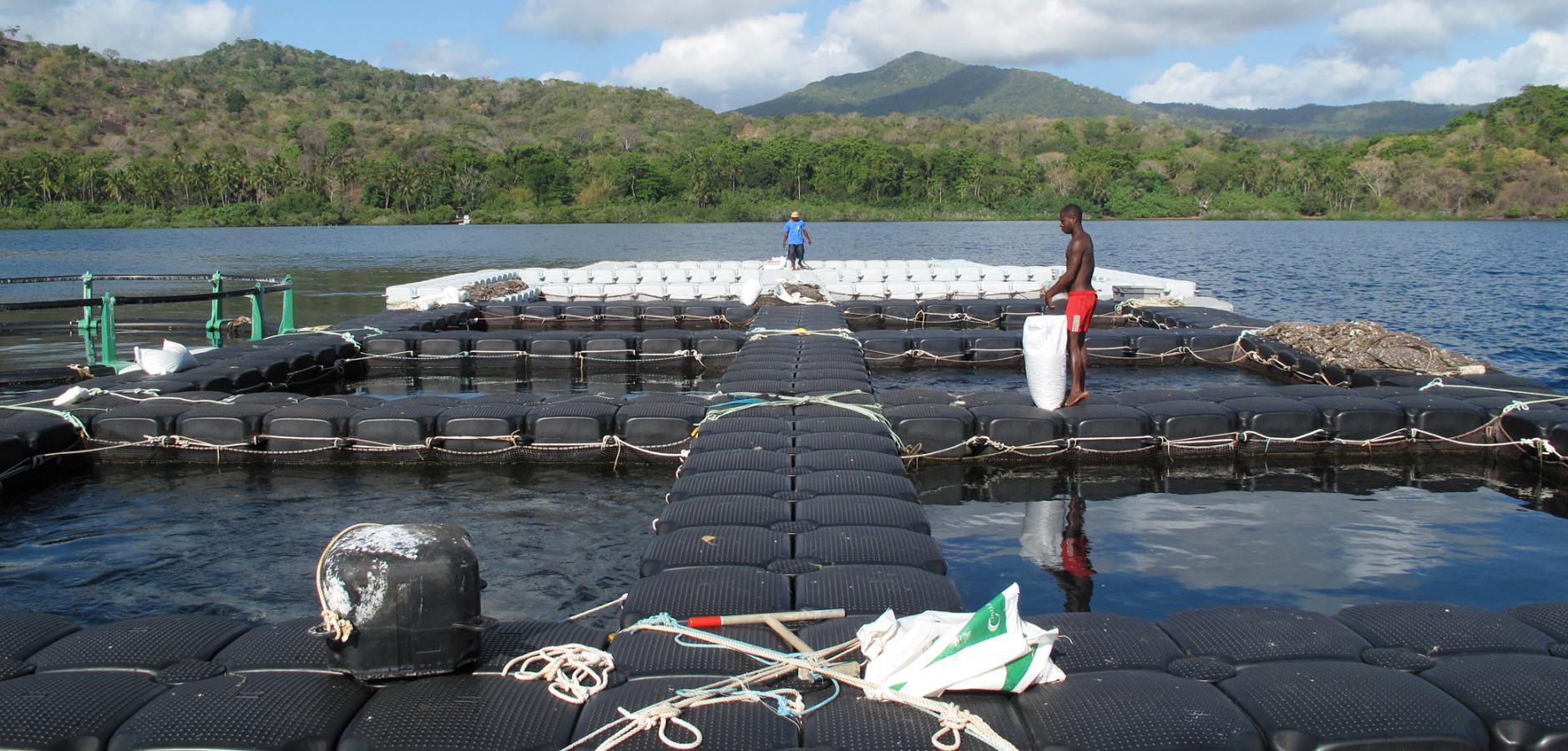 Ferme aquacole : piscines d'élevage installées au large des côtes dans le lagon, Mayotte