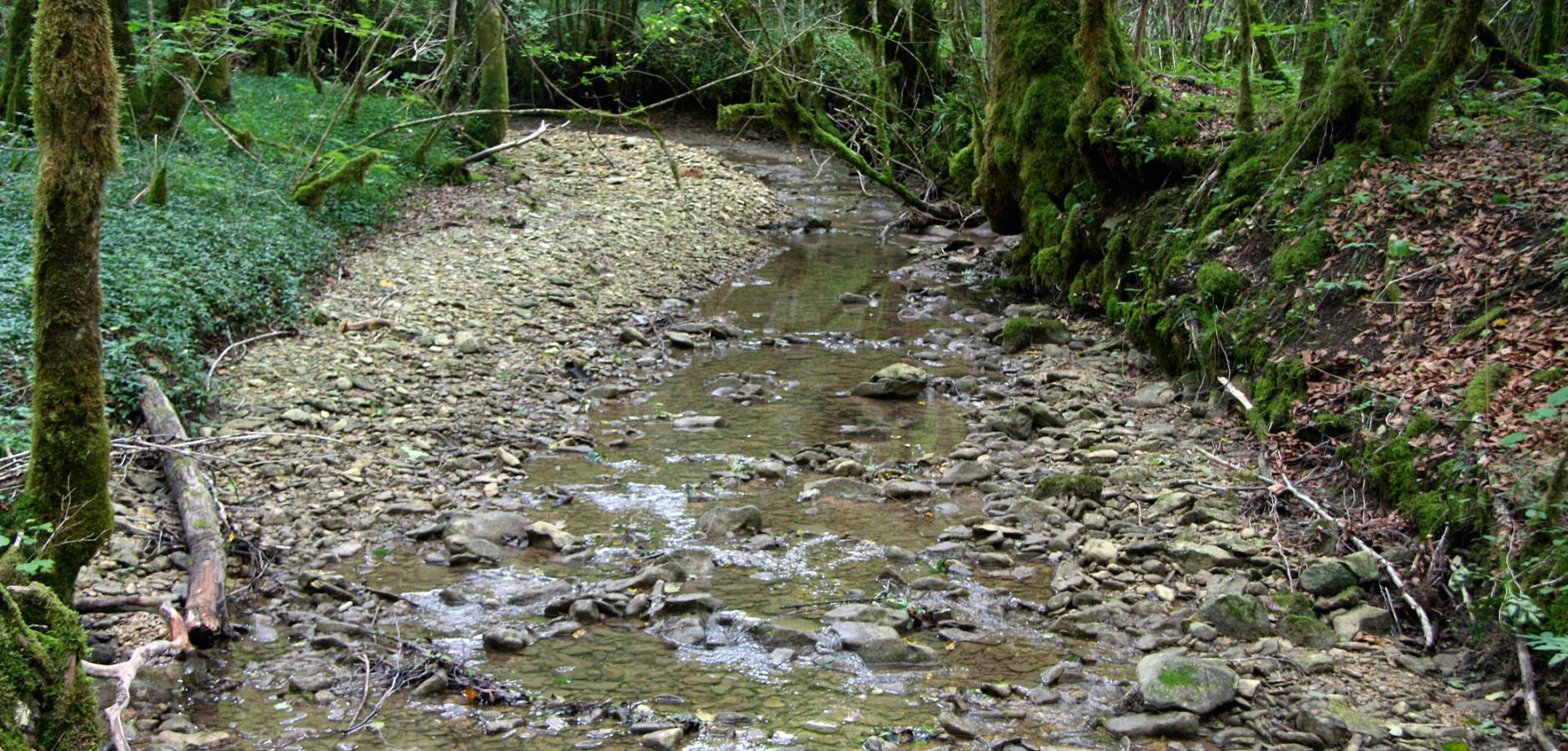 Ruisseau de Corne Bouche, Doubs, à sec, profil en V du lit d'étiage