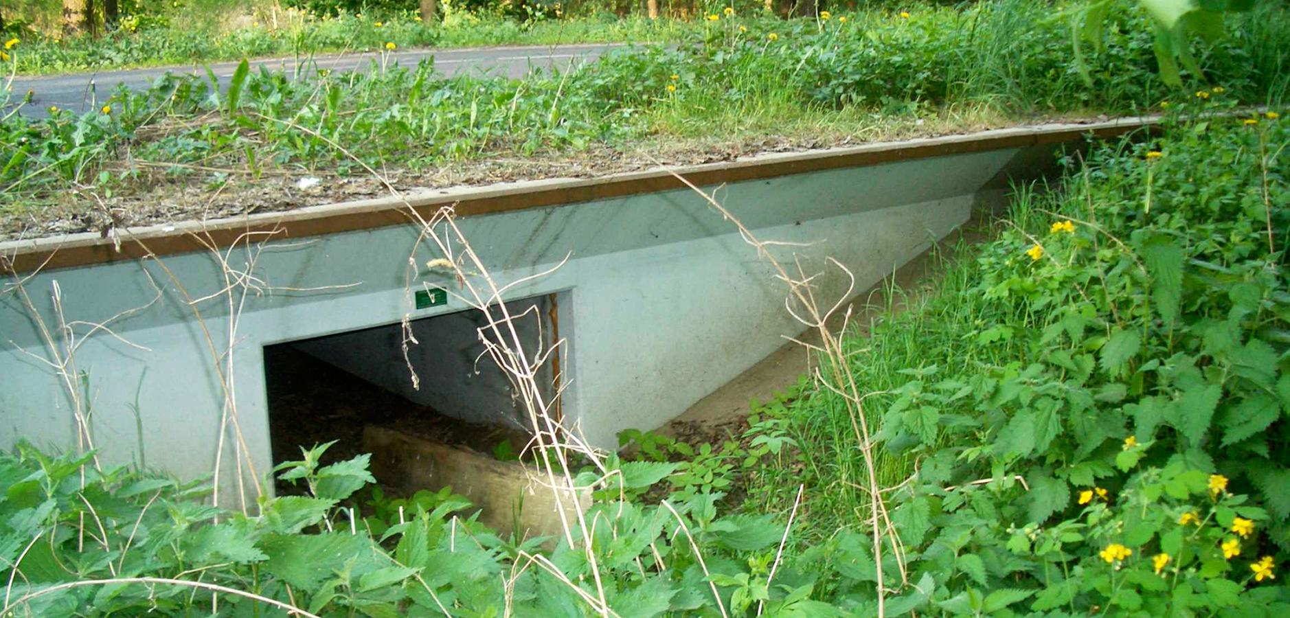 Tunnel à amphibien