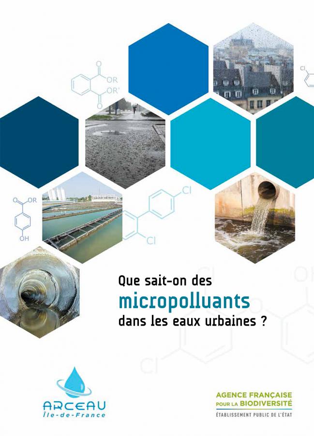 Ouvrage Que sait-on des micropolluants dans les eaux urbaines ? Arceau IdF / AFB, 2018