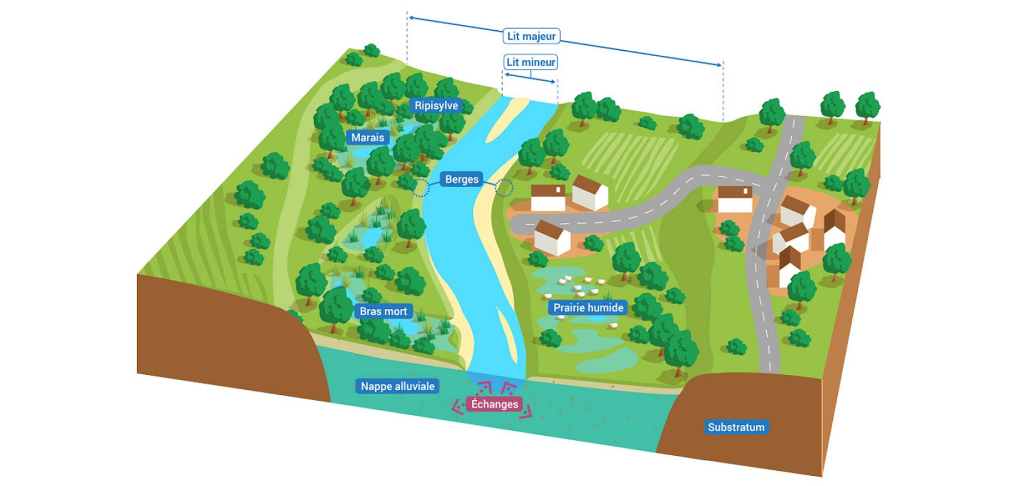 La structure des cours d'eau