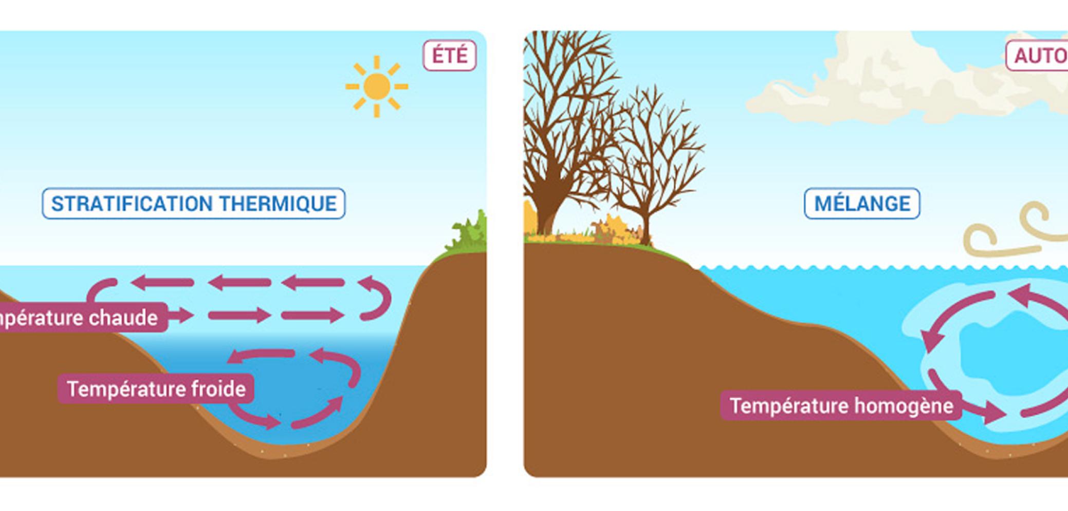 La stratification des plans d'eau