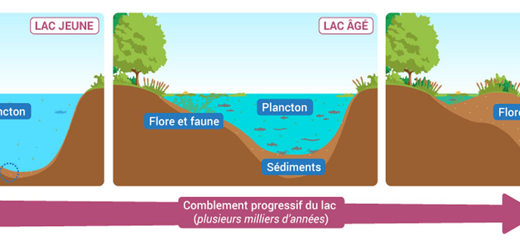 L'eutrophisation naturelle des plans d'eau