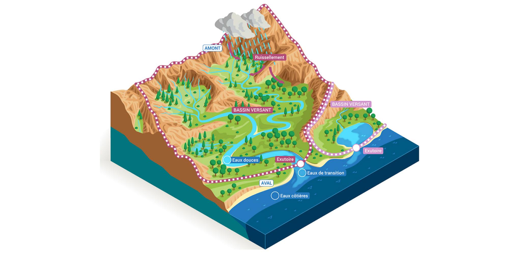 Les eaux côtières, à l'interface entre le bassin versant et la mer