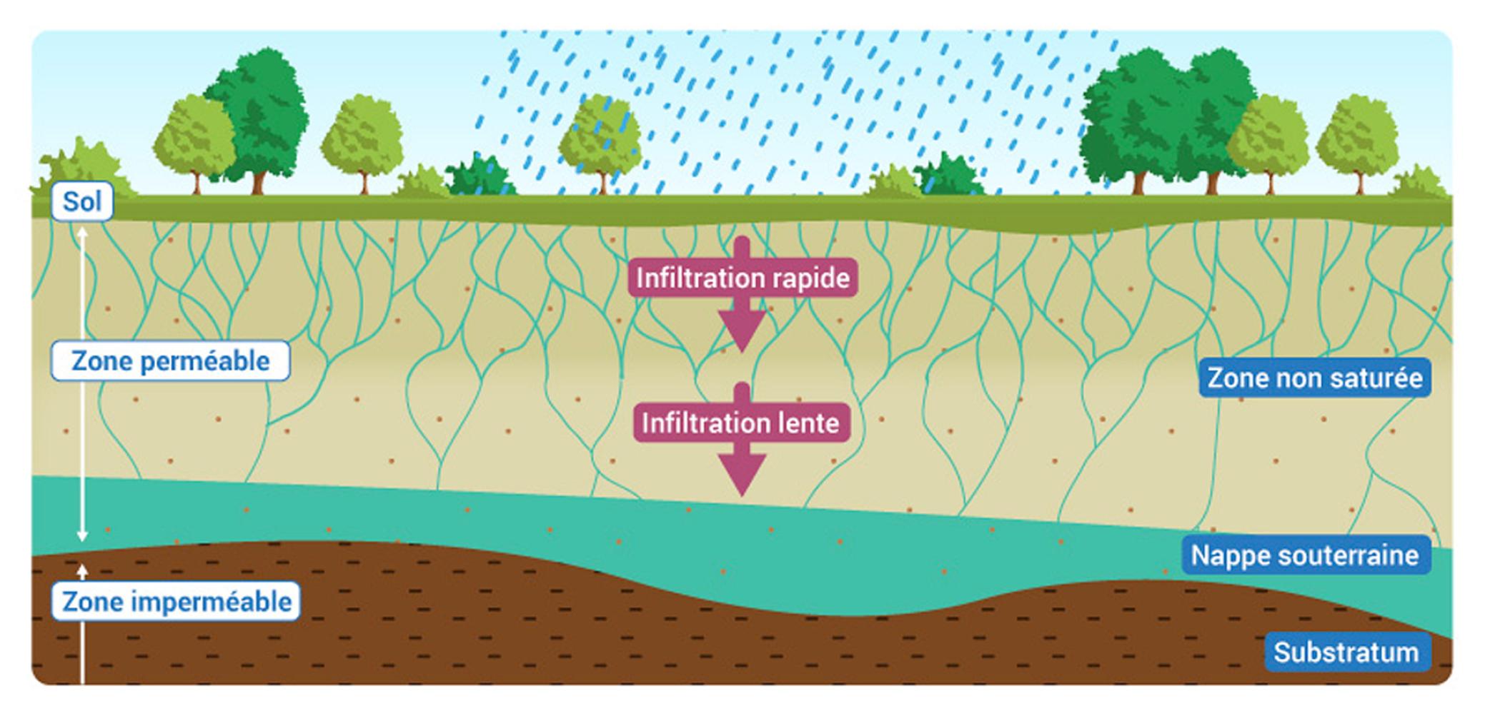 Des échanges d'eau entre les nappes souterraines